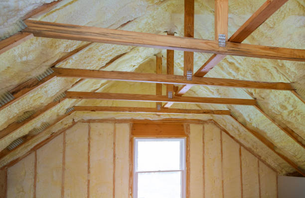 Best Spray Foam Insulation  in Moss Point, MS