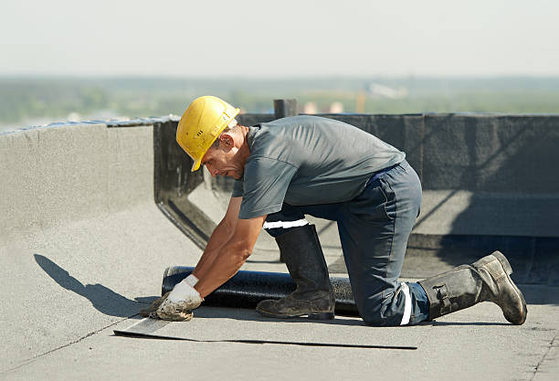Best Insulation for New Construction  in Moss Point, MS